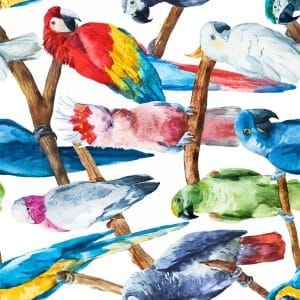 Belles & Whistles Rice Decoupage Paper Birds 3 sheets à 30 x 30cm