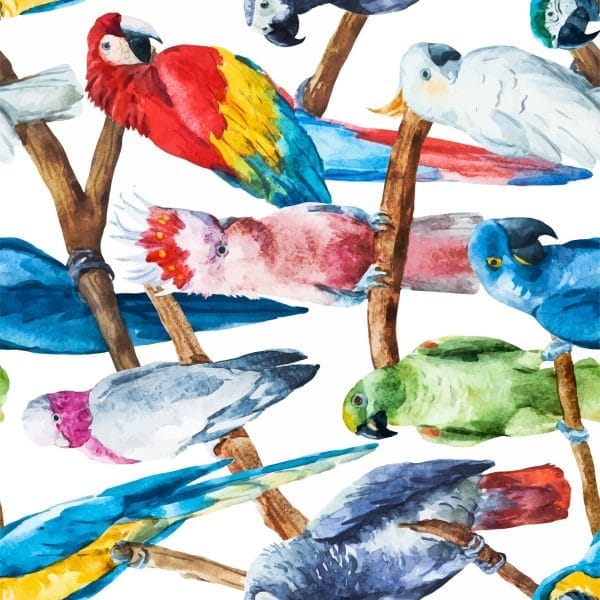 Belles & Whistles Rice Decoupage Paper Birds 3 sheets à 30 x 30cm