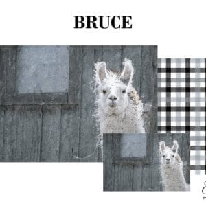 Grace on Design decoupage paper "Bruce" set of 3