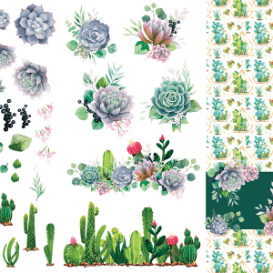 Belles & Whistles Transfer Cacti & Succulents 65.5 x 98 cm