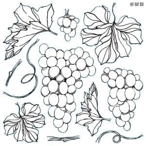 IOD Decor Stamp Grapes