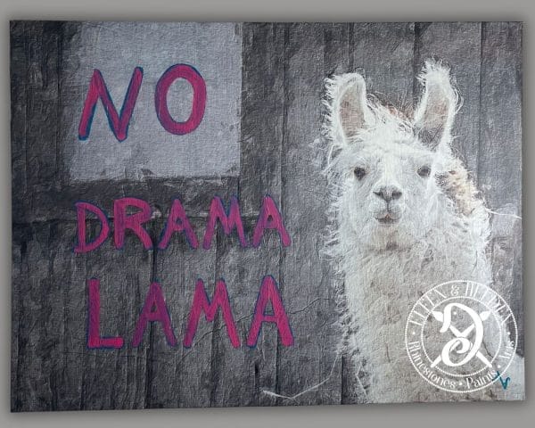 Canvas picture Motivation - Bruce No Drama Lama - landscape format 80 x 60 cm