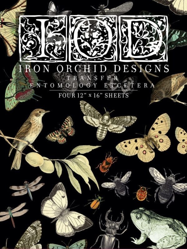 IOD Decor Transfer "Entomology Etcetera" 12 x 16 inch block