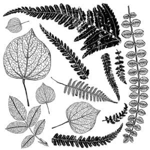 IOD Decor Stamp Fronds
