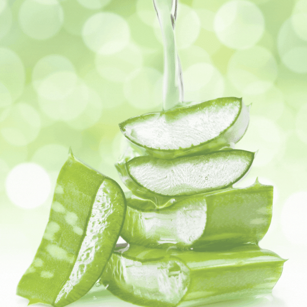 Scrubby Soap Bath & Body Seife - Ziegenmilch & Aloe – Bild 3