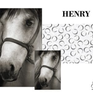 Grace on Design decoupage paper "Henry" set of 3
