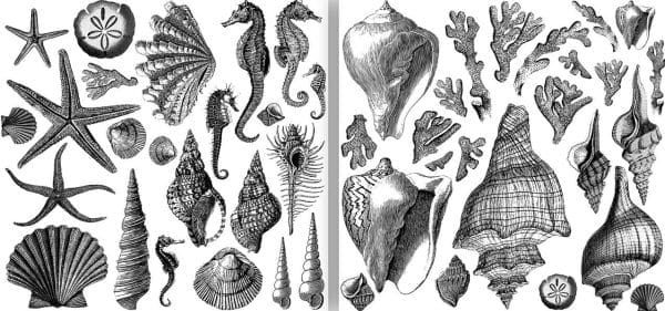 IOD Decor Stamp Seashore - Set of 2