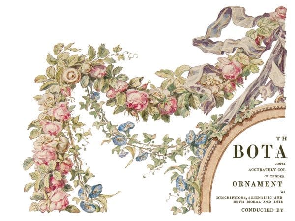 IOD Decor Transfer The Botanist 12 x 16 inch Block - Image 3