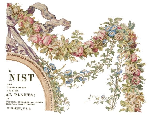 IOD Decor Transfer The Botanist 12 x 16 inch Block - Image 4