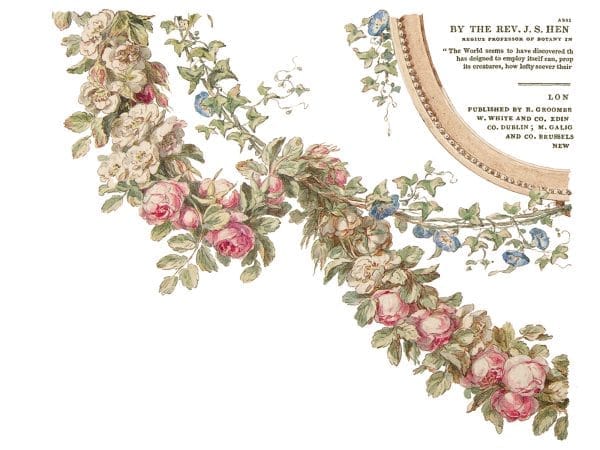 IOD Decor Transfer The Botanist 12 x 16 inch Block - Image 5