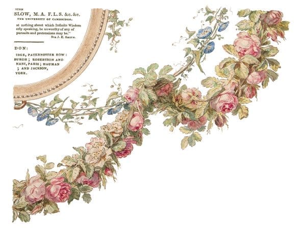 IOD Decor Transfer The Botanist 12 x 16 inch Block - Image 6