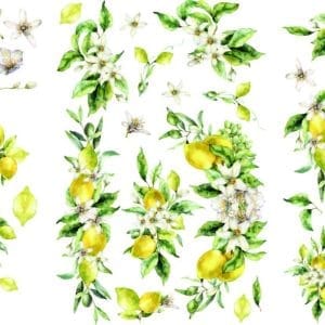 Belles & Whistles Transfer Lemon Zest 3 sheets each 20.32 cm x 30.48 cm