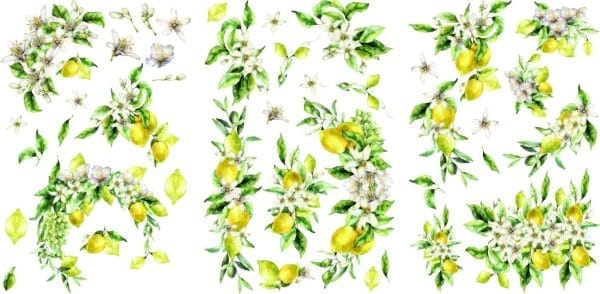 Belles & Whistles Transfer Lemon Zest 3 sheets each 20.32 cm x 30.48 cm