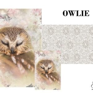 Grace on Design decoupage paper "Owlie" set of 3