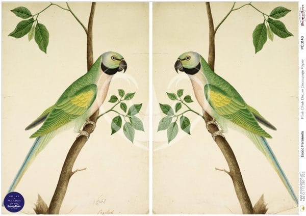 Posh Chalk Deluxe Decoupage EXOTIC PARAKEETS