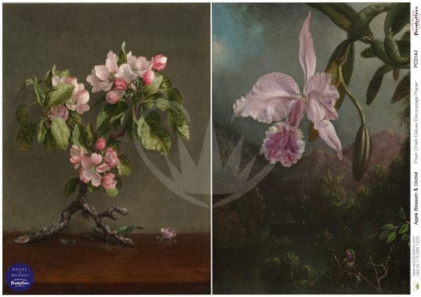 Posh Chalk Deluxe Decoupage APPLE BLOSSOM & ORCHID - The House of Mendes Collection
