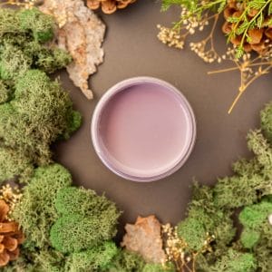 Dixie Belle Chalk Mineral Paint Secret Path