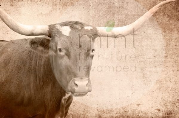 Mint by Michelle decoupage paper "Texas Longhorn"
