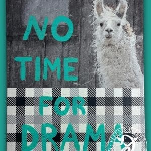 Canvas picture Motivation - Bruce No Time for Drama - portrait format 50 x 40 cm
