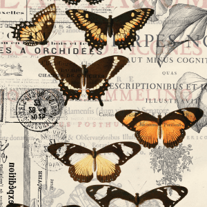 Belles & Whistles Tissue Decoupage A1 Vintage Butterflies 50.8 x 76.2 cm