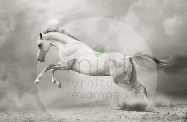Mint by Michelle decoupage paper "White Horse"