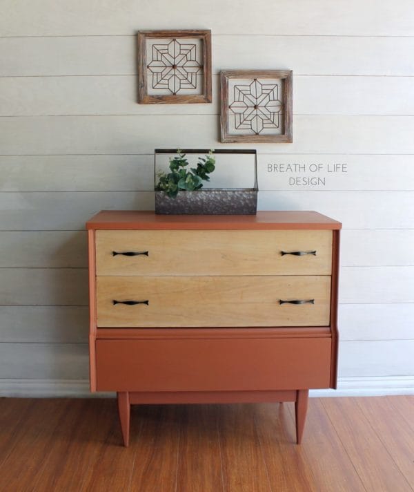 Dixie Belle Chalk Mineral Paint Rusty Nail - Image 3