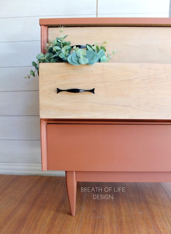 Dixie Belle Chalk Mineral Paint Rusty Nail - Image 4