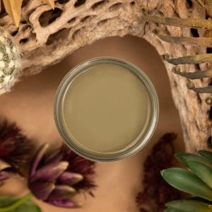 Dixie Belle Silk All In One Mineral Paint Cactus