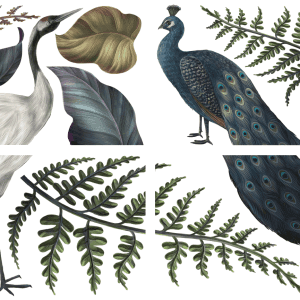 Belles & Whistles Transfer Elegant Avian Flora 4 sheets each 15.24 cm x 30.48 cm