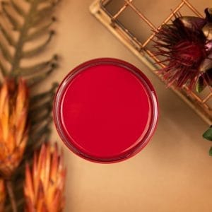 Dixie Belle Silk All In One Mineral Paint Fiery Sky