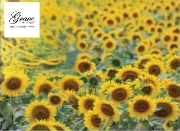 Grace on Design Decoupage Paper "Sunflower Fields Pattern" Size 45,72 cm x 60,96 cm (18 "x 24")