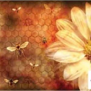 Grace on Design Decoupage Paper "Let it Bee" Size 60.96 cm x 91.44 cm (24" x 36")