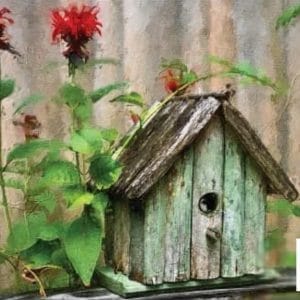 Grace on Design Decoupage Paper "Birds & Blooms" by Terry Potkay Size 60.96 cm x 91.44 cm (24" x 36")