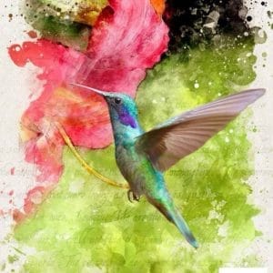 Grace on Design Decoupage Paper "In Flight" Size 60.96 cm x 91.44 cm (24" x 36")