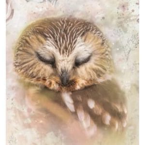 Grace on Design Decoupage Paper "Owlie" Size 60.96 cm x 91.44 cm (24" x 36")