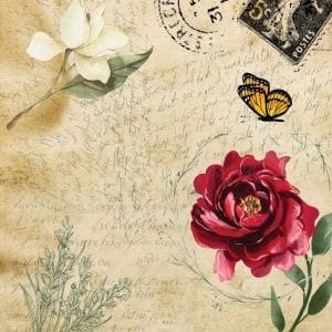 Belles & Whistles Rice Decoupage Paper Old Postcard DIN A3