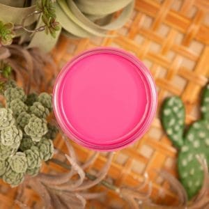 Dixie Belle Silk All In One Mineral Paint Prickly Pears