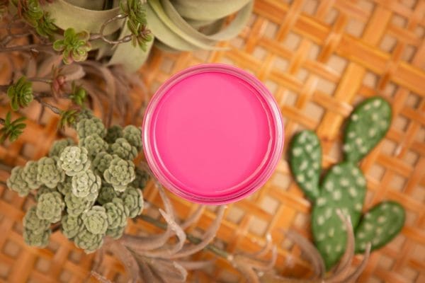 Dixie Belle Silk All In One Mineral Paint Prickly Pears