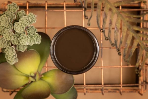Dixie Belle Silk All In One Mineral Paint Umber