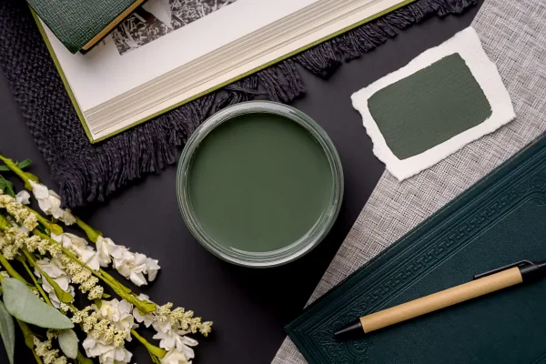 Dixie Belle Chalk Mineral Paint Briar Patch - Image 3