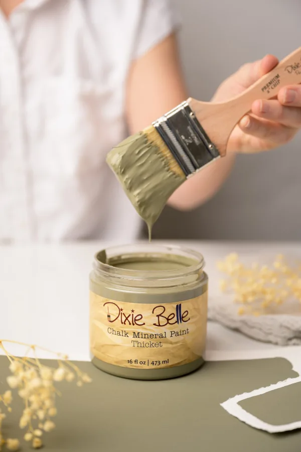 Dixie Belle Chalk Mineral Paint Thicket - Image 2